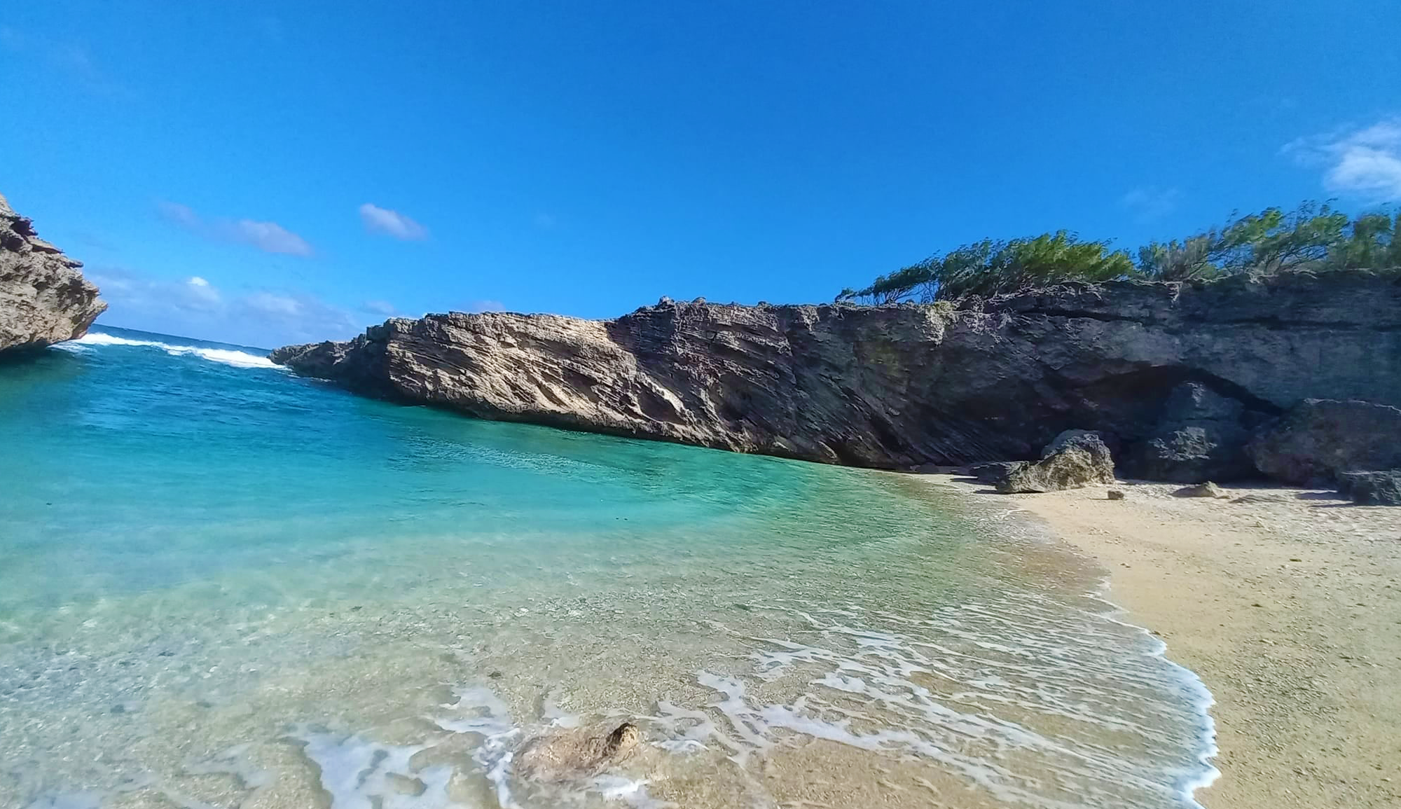 Banner L'oiseau des îles ll