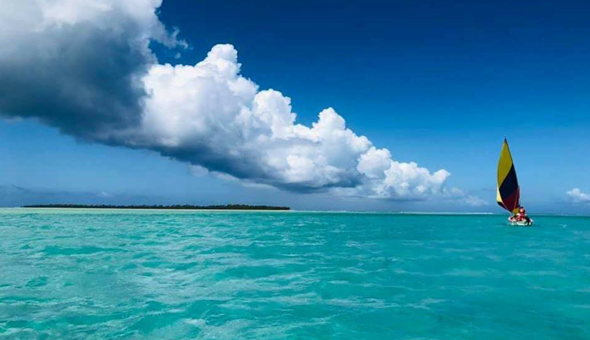 Banner L'oiseau des îles ll