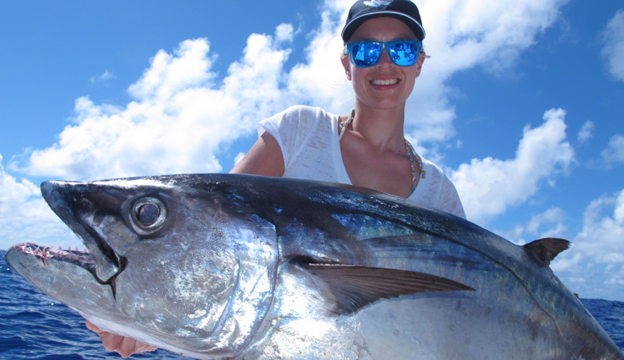 Banner L'oiseau des îles ll