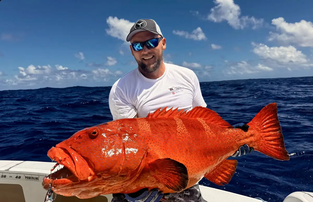 Capture d’un mérou tropical géant en jigging lors d’une pêche sportive à Rodrigues