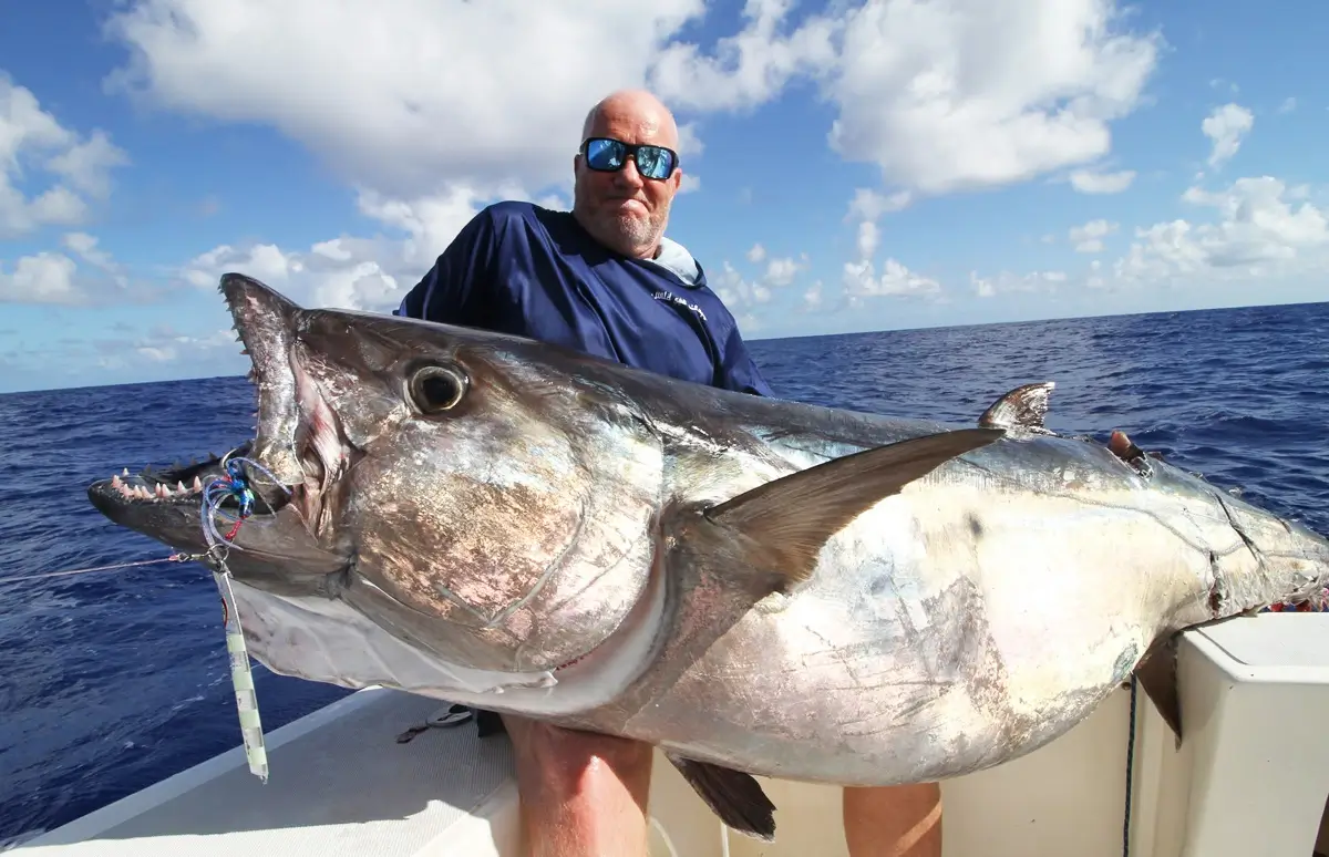 Sortie jigging avec capture d’un gros barracuda tropical