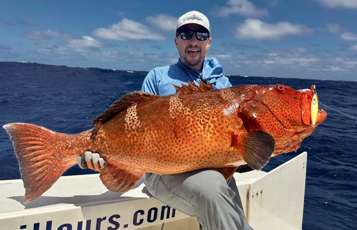 Big coral grouper taken on the jig in Rodrigues