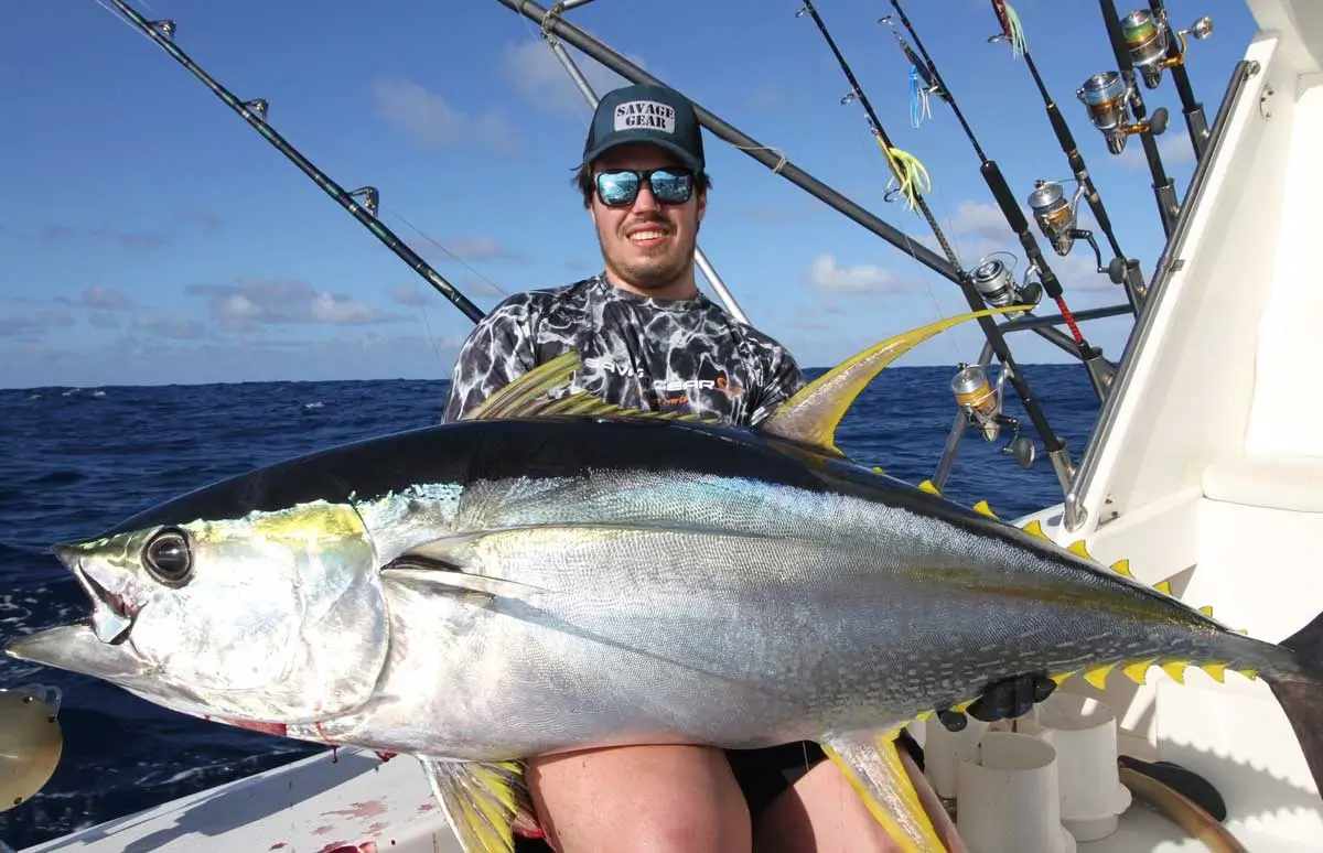 Gros thon jaune pris en jigging à Rodrigues