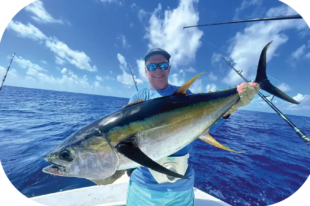 Gros thon jaune pris en pêche sportive à Rodrigues
