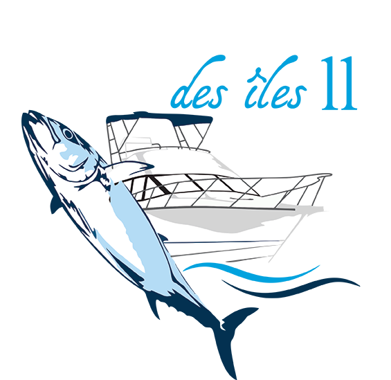 L'Oiseau Des Iles II
