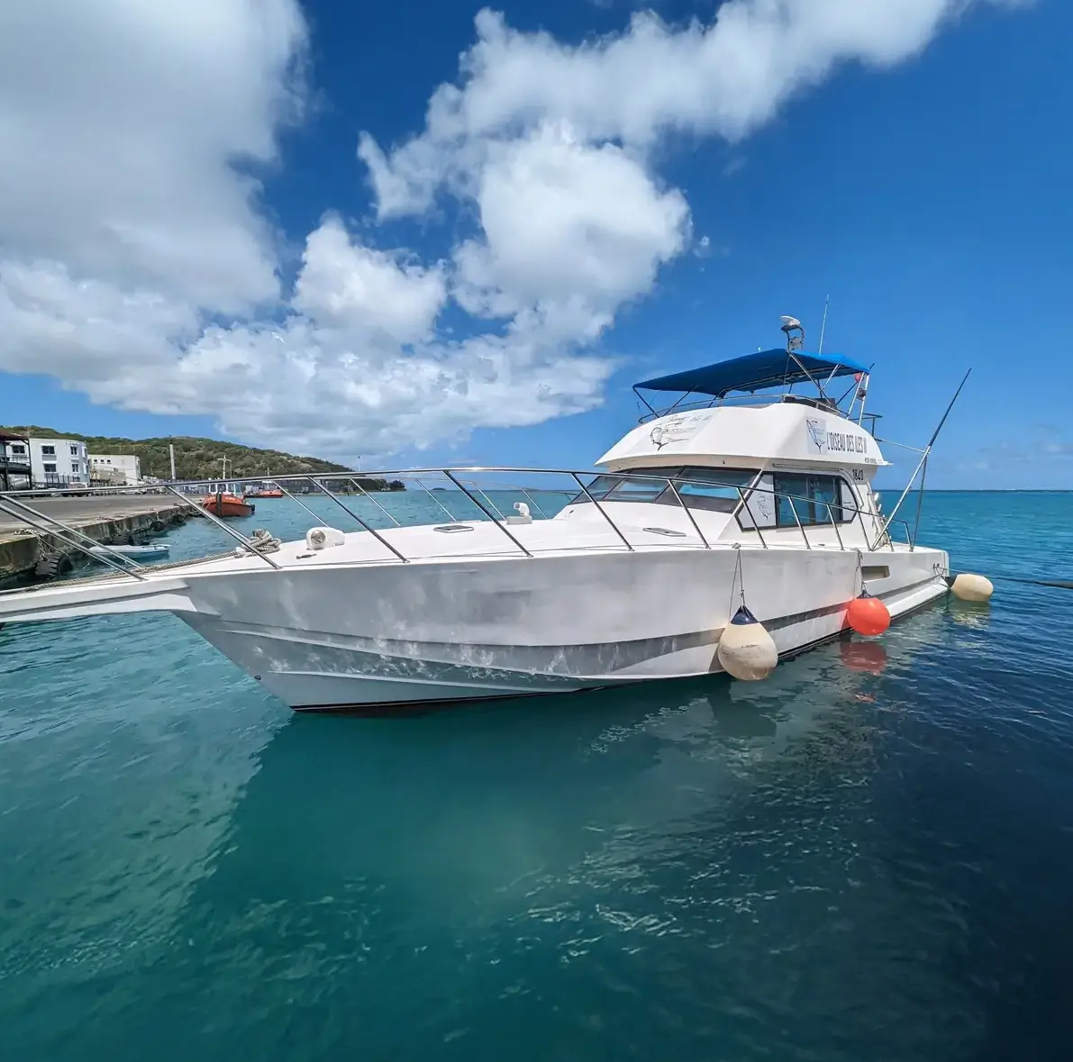 Sensations fortes en pêche offshore au large de Rodrigues